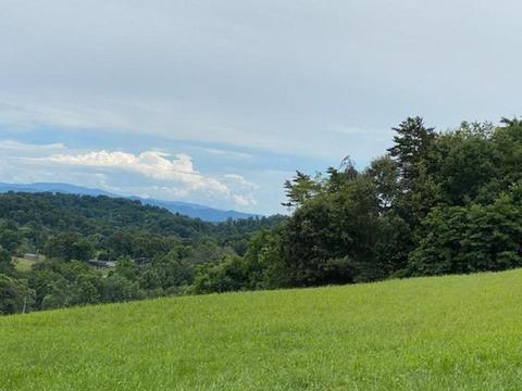 123 Freeman Lane Gray Tn 37615, Gray, TN 37615 photo 7