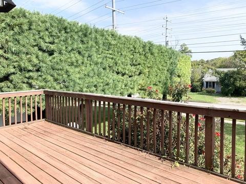 1609 E Fairview Avenue Johnson City Tn 37601, Johnson City, TN 37601 photo 42