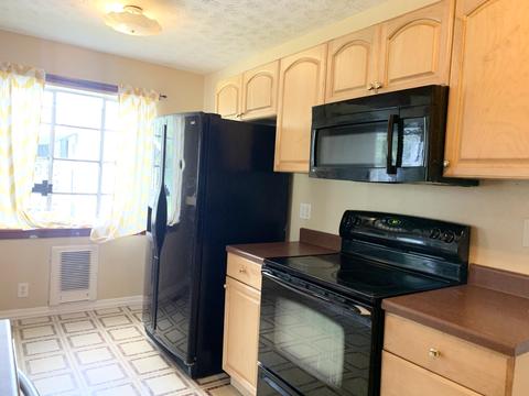 1609 E Fairview Avenue Johnson City Tn 37601, Johnson City, TN 37601 photo 17