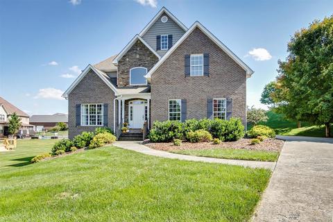 199 Sunset Meadows Court Gray Tn 37615, Gray, TN 37615 photo 3