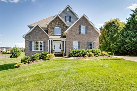 199 Sunset Meadows Court Gray Tn 37615, Gray, TN 37615 photo 2