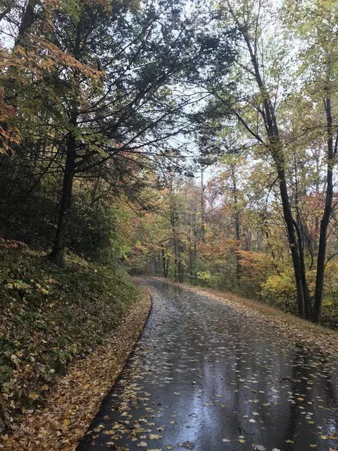 lot6 Coves Edge Drive Butler Tn 37640, Butler, TN 37640
