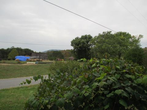 2515 Fodderstack Mountain Loop Greeneville Tn 37745, Greeneville, TN 37745 photo 24
