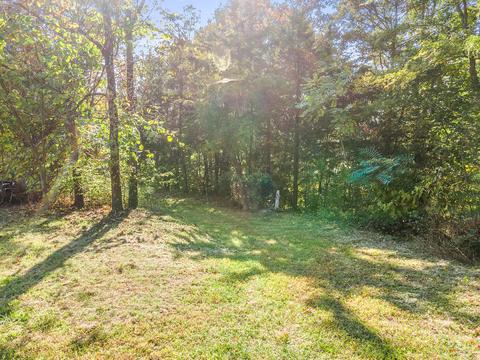 570 Patton Lane Limestone Tn 37681, Limestone, TN 37681 photo 8