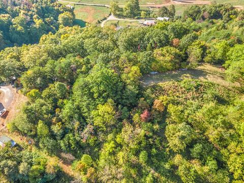 570 Patton Lane Limestone Tn 37681, Limestone, TN 37681 photo 12