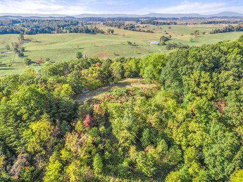 570 Patton Lane Limestone Tn 37681, Limestone, TN 37681 photo 9