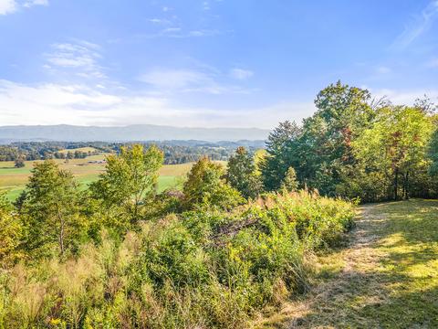 570 Patton Lane Limestone Tn 37681, Limestone, TN 37681 photo 3
