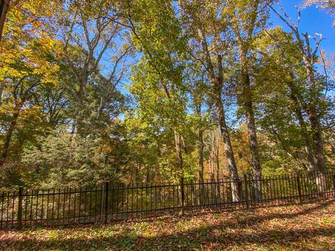1124 Cliffview Circle Gray Tn 37615, Gray, TN 37615 photo 32