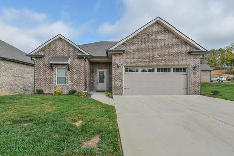 203 Ripple Falls Private Drive Gray Tn 37615, Gray, TN 37615 photo 1