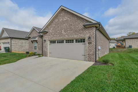 203 Ripple Falls Private Drive Gray Tn 37615, Gray, TN 37615 photo 3