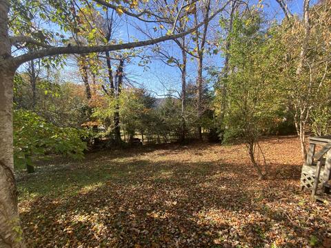 105 Bailey Woods Road Erwin Tn 37650, Erwin, TN 37650 photo 5