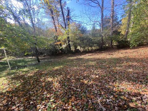 105 Bailey Woods Road Erwin Tn 37650, Erwin, TN 37650 photo 4