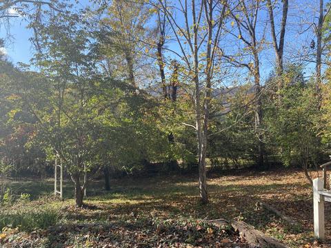 105 Bailey Woods Road Erwin Tn 37650, Erwin, TN 37650 photo 6