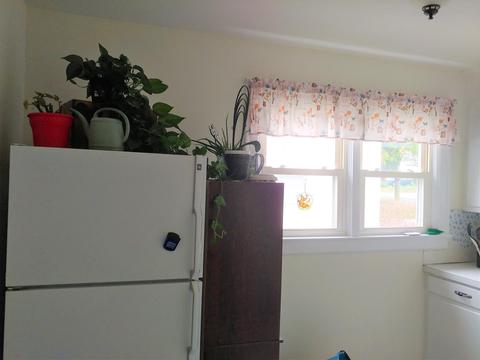 328 Elmo Street Bristol Va 24201, Bristol, VA 24201 photo 7