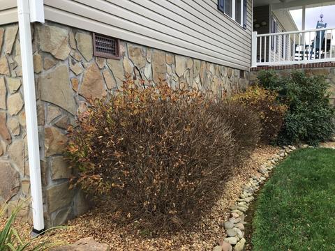 9760 Shadow Brook Drive Wise Va 24293, Wise, VA 24293 photo 66
