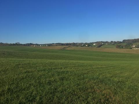1840 Heritage Road Limestone Tn 37681, Limestone, TN 37681 photo 17