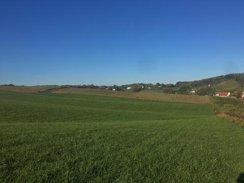 1840 Heritage Road Limestone Tn 37681, Limestone, TN 37681 photo 19