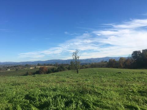 1840 Heritage Road Limestone Tn 37681, Limestone, TN 37681 photo 12