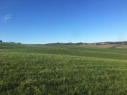 1840 Heritage Road Limestone Tn 37681, Limestone, TN 37681 photo 16