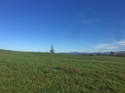 1840 Heritage Road Limestone Tn 37681, Limestone, TN 37681 photo 6