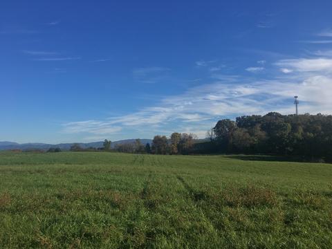 1840 Heritage Road Limestone Tn 37681, Limestone, TN 37681 photo 7