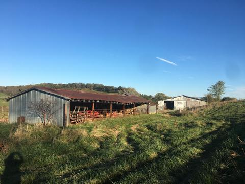 1840 Heritage Road Limestone Tn 37681, Limestone, TN 37681 photo 4
