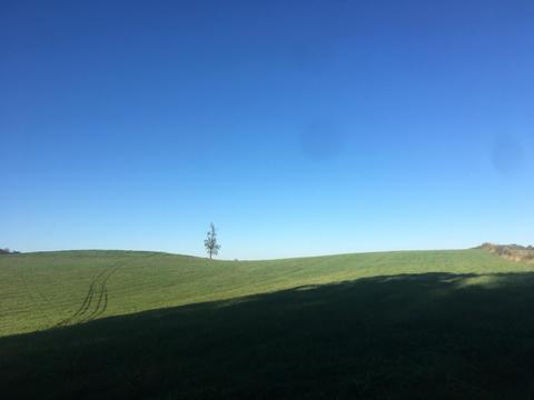 1840 Heritage Road Limestone Tn 37681, Limestone, TN 37681 photo 13