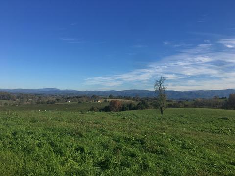 1840 Heritage Road Limestone Tn 37681, Limestone, TN 37681 photo 10