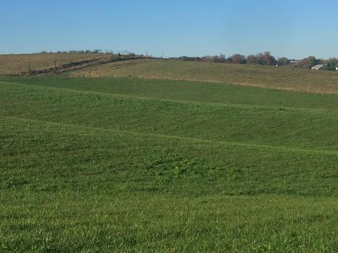 1840 Heritage Road Limestone Tn 37681, Limestone, TN 37681 photo 20