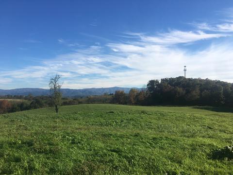 1840 Heritage Road Limestone Tn 37681, Limestone, TN 37681 photo 11