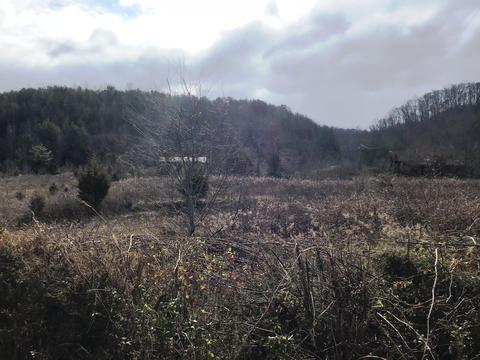 514 Pumpkin Valley Road Eidson Tn 37731, Eidson, TN 37731 photo 2