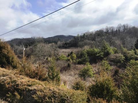 514 Pumpkin Valley Road Eidson Tn 37731, Eidson, TN 37731 photo 4