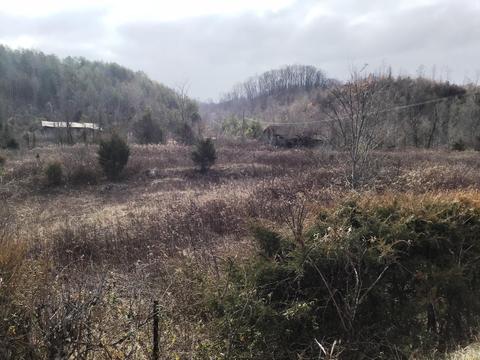 514 Pumpkin Valley Road Eidson Tn 37731, Eidson, TN 37731 photo 3