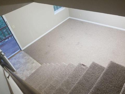 102 Unaka Court Erwin Tn 37650, Erwin, TN 37650 photo 17