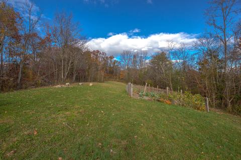 616 Frog Level Road Gray Tn 37615, Gray, TN 37615 photo 32