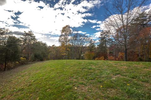 616 Frog Level Road Gray Tn 37615, Gray, TN 37615 photo 35