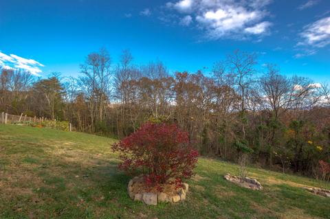 616 Frog Level Road Gray Tn 37615, Gray, TN 37615 photo 47