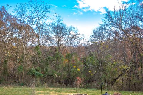 616 Frog Level Road Gray Tn 37615, Gray, TN 37615 photo 46