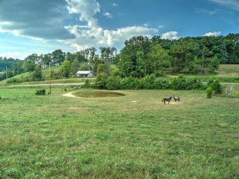 295 Jeroldstown Road Fall Branch Tn 37656, Fall Branch, TN 37656 photo 5