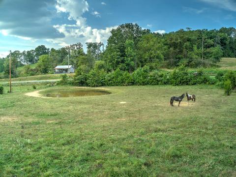295 Jeroldstown Road Fall Branch Tn 37656, Fall Branch, TN 37656 photo 3