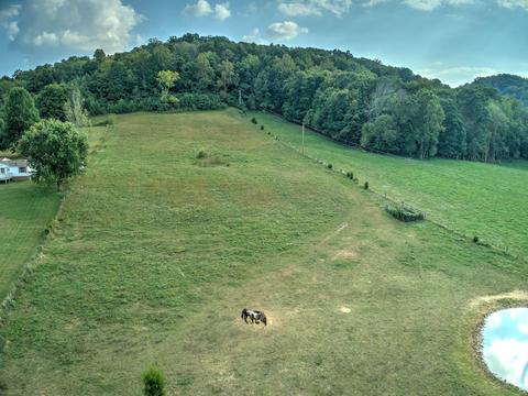 295 Jeroldstown Road Fall Branch Tn 37656, Fall Branch, TN 37656 photo 1