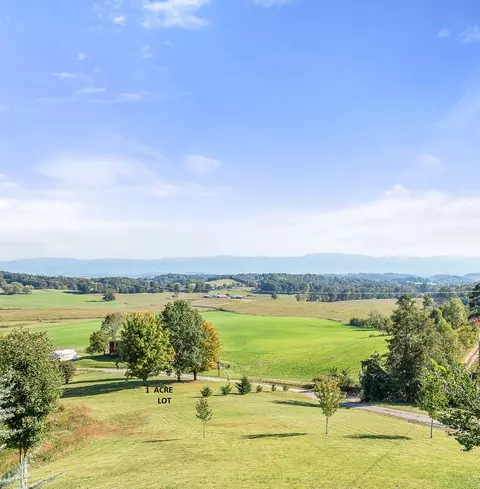 554 Patton Lane Limestone Tn 37681, Limestone, TN 37681 photo 1