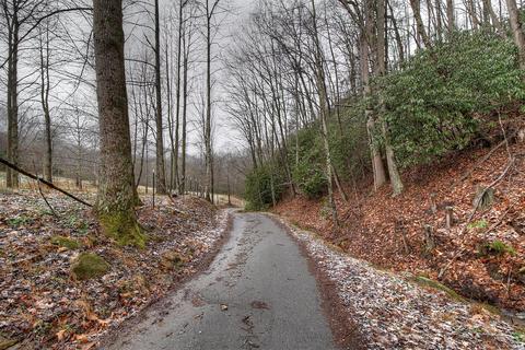 327 Falls Road Hampton Tn 37658, Hampton, TN 37658 photo 46