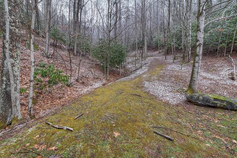 327 Falls Road Hampton Tn 37658, Hampton, TN 37658 photo 43