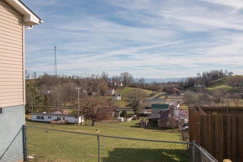 29168 Ryan Road Meadowview Va 24361, Meadowview, VA 24361 photo 30
