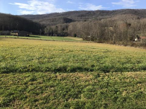 226 Arrowhead Rd Duffield Va 24244, Duffield, VA 24244 photo 28