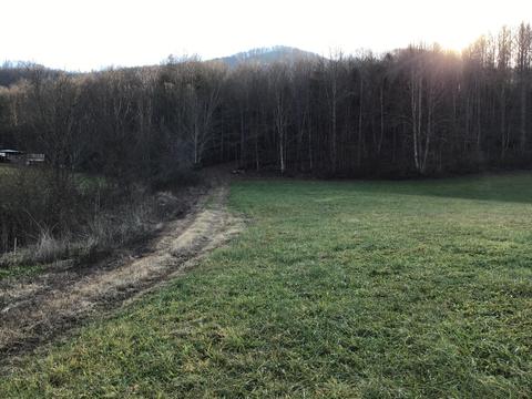 226 Arrowhead Rd Duffield Va 24244, Duffield, VA 24244 photo 34
