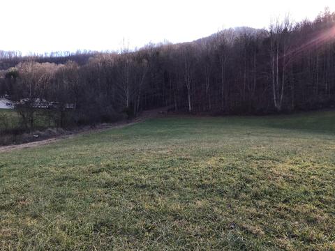 226 Arrowhead Rd Duffield Va 24244, Duffield, VA 24244 photo 33