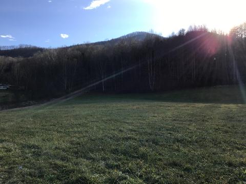 226 Arrowhead Rd Duffield Va 24244, Duffield, VA 24244 photo 31