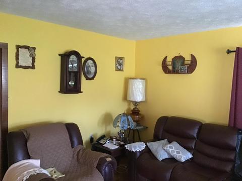 226 Arrowhead Rd Duffield Va 24244, Duffield, VA 24244 photo 5